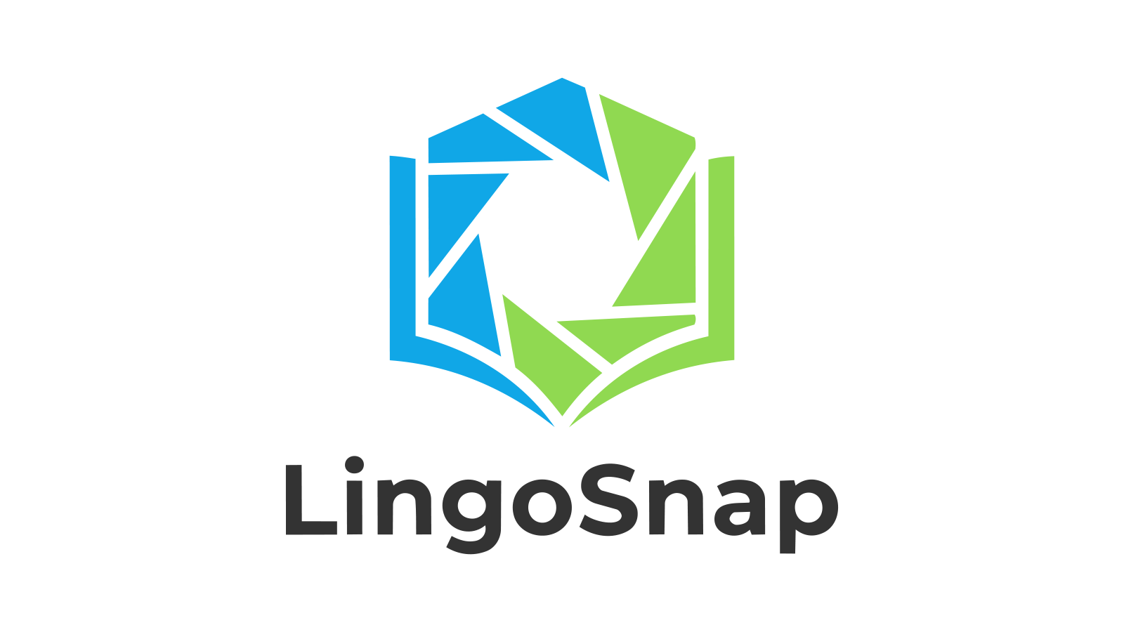 LingoSnap | AI Learning Assistant